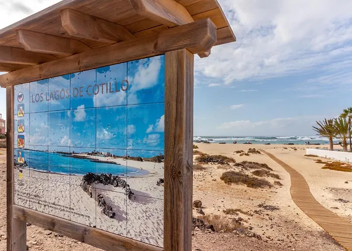 Flatguest Cotillomar